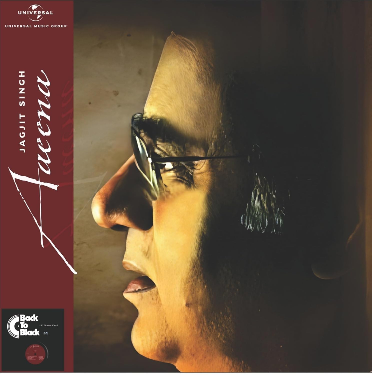AAEENA : JAGJIT SINGH - VINYL RECORD
