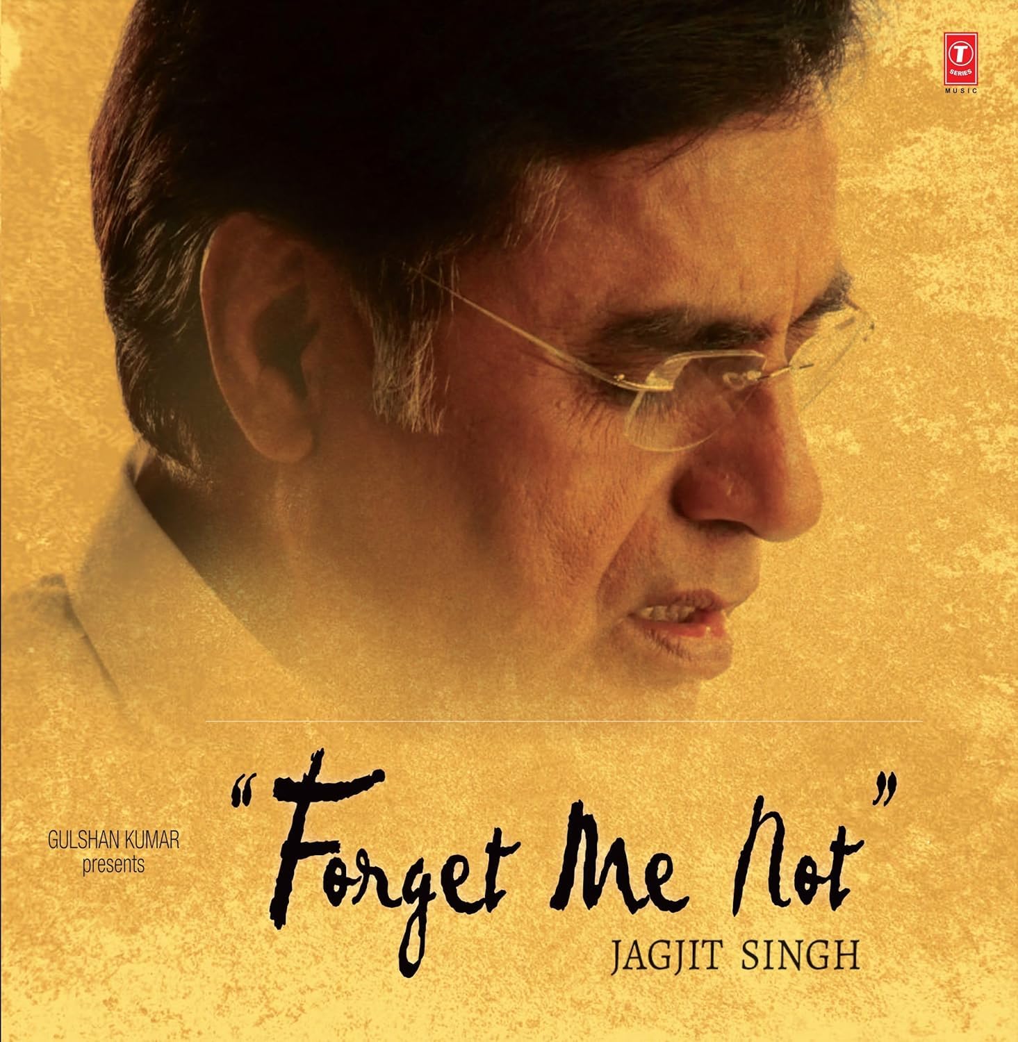 FORGET ME NOT : JAGJIT SINGH - VINYL RECORD