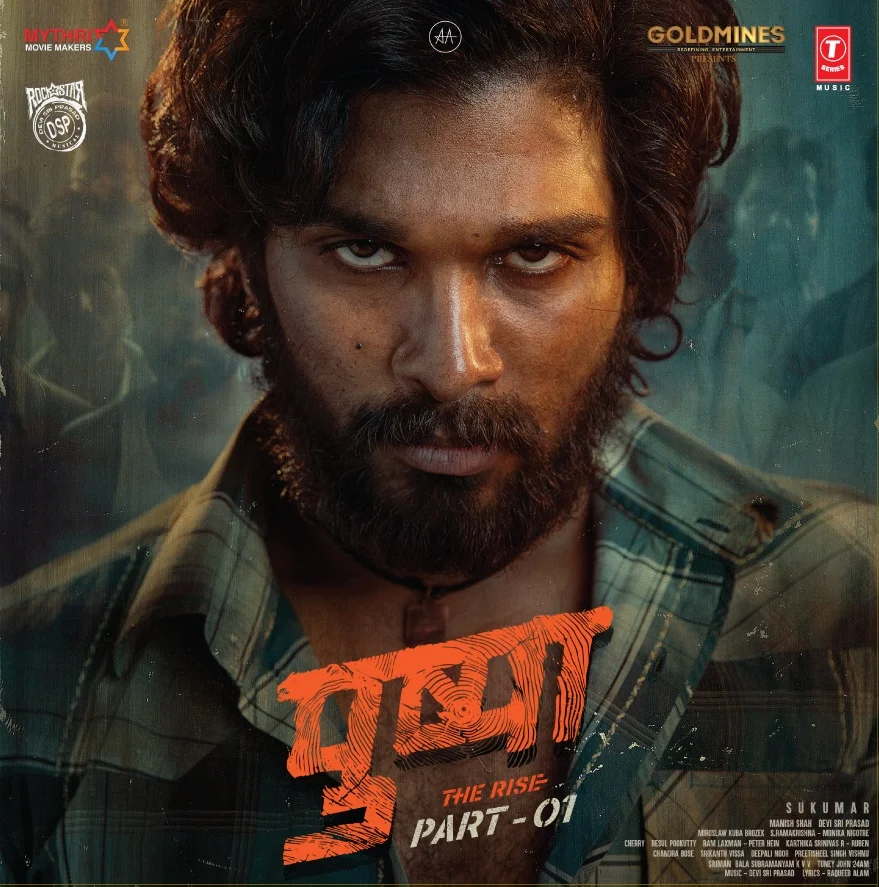 PUSHPA - VINYL RECORD